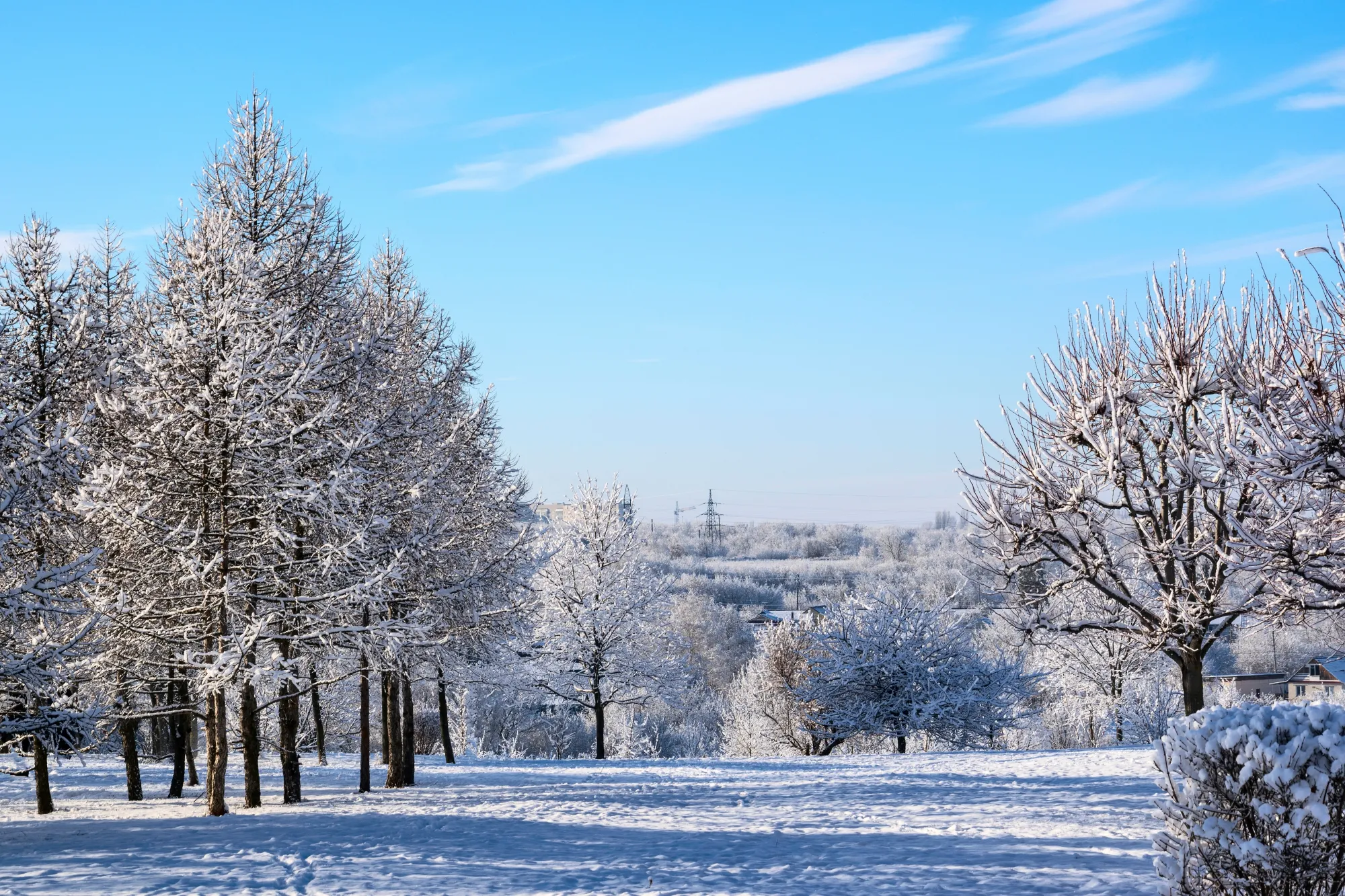 Do konce roku přišel obrat. Meteorologové vydali novou předpověď a překvapili celý stát.