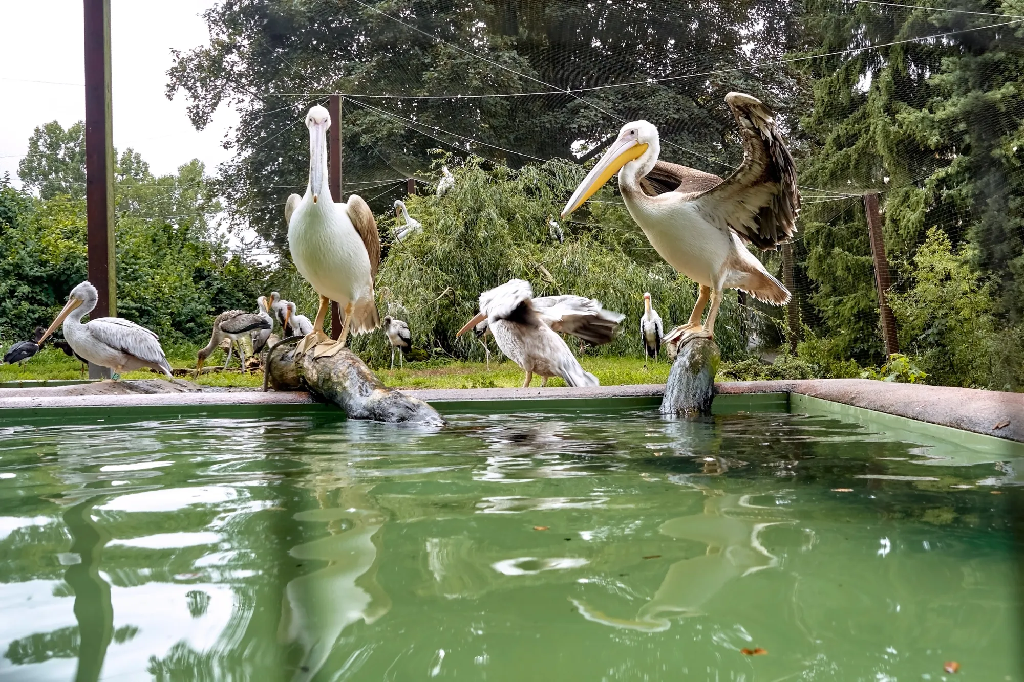 Známá česká zoo připravuje velkou novinku. Pro rodiny to bude další lákadlo na výlet.