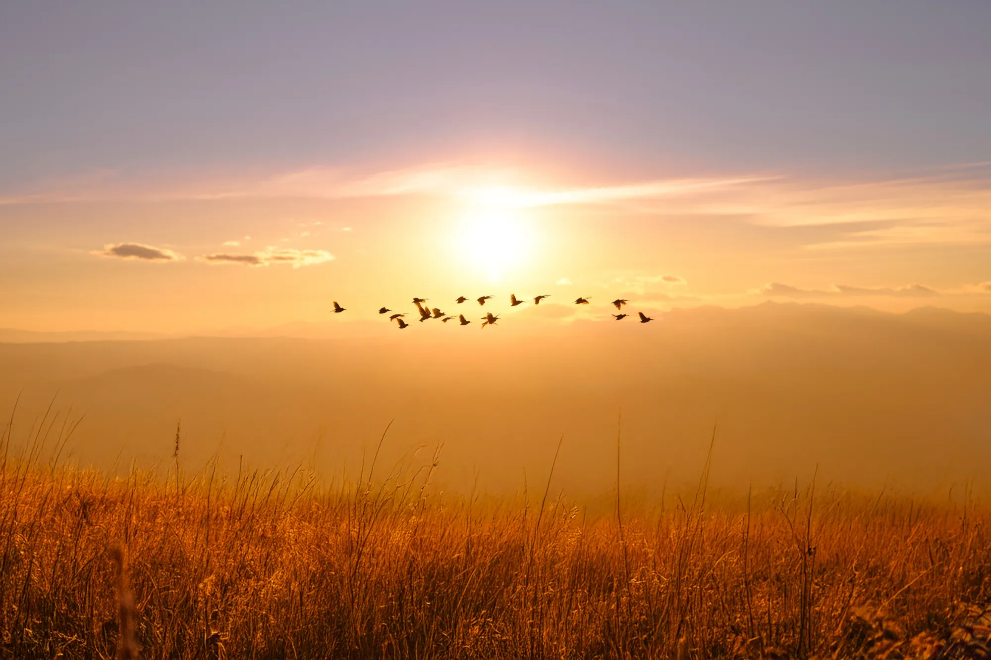 Slunce se konečně vrátí! Teploty vyskočí až na 19 °C, pak ale dorazí varování, které nikdo neuslyší rád.