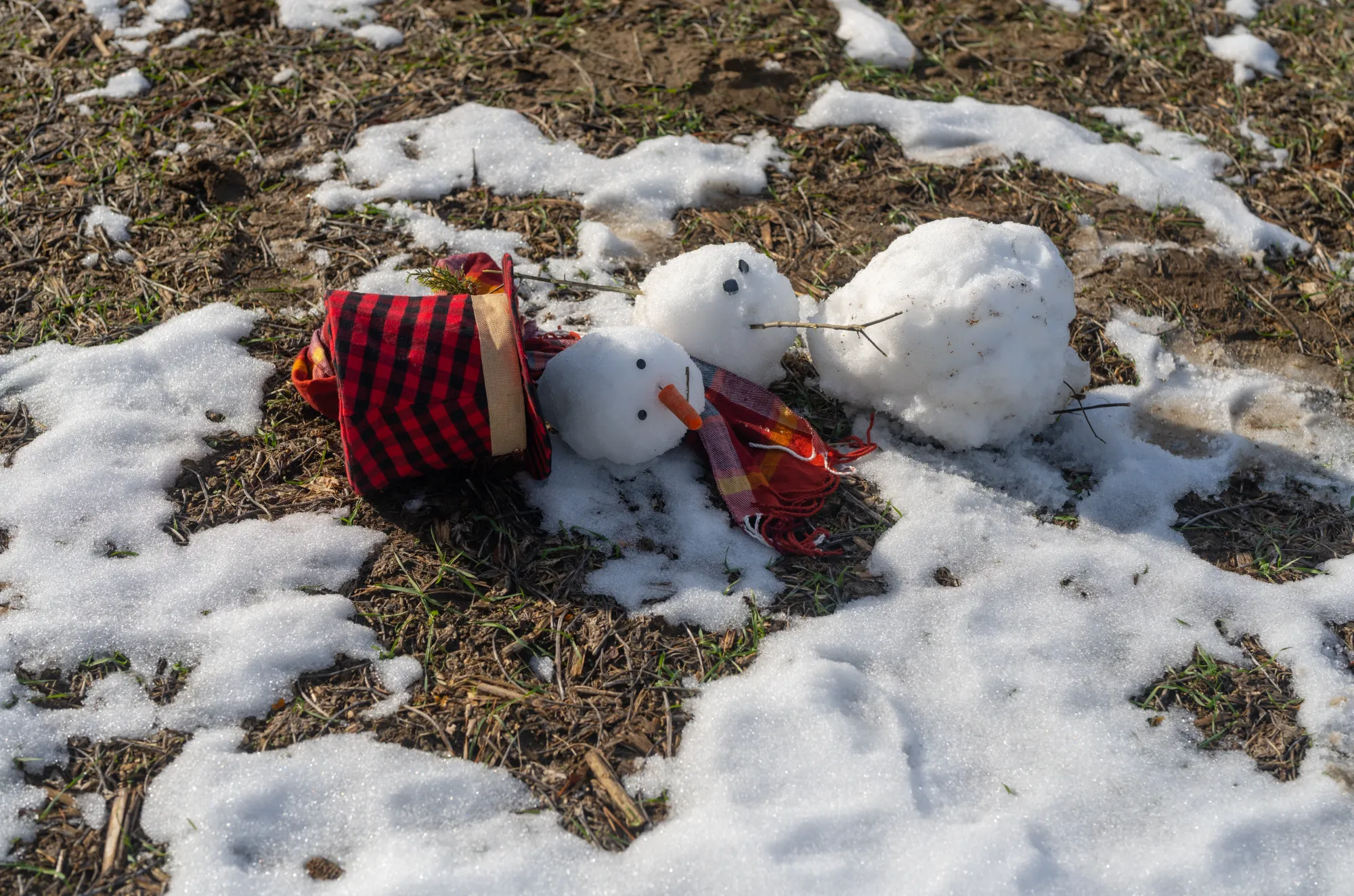 Jaro v Česku bude jen na chvíli. Meteorologové varují před prudkým ochlazením a propadem teplot.