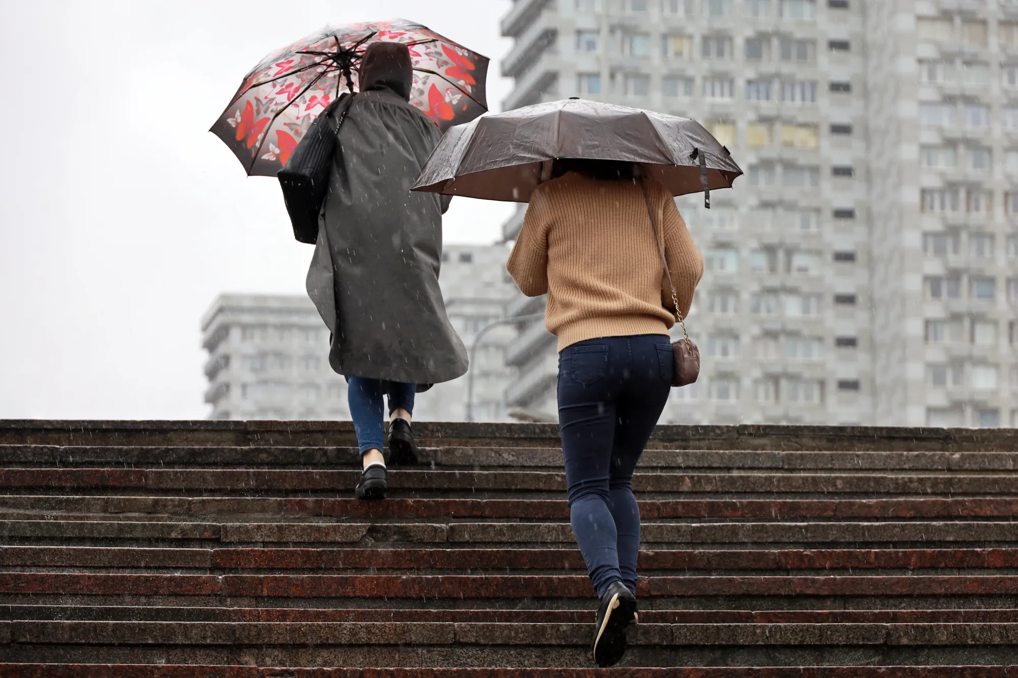 Čechy čeká déšť, jaký si nepamatujeme. Podle meteorologů přijde den, kdy se nikdo před vodou neschová.