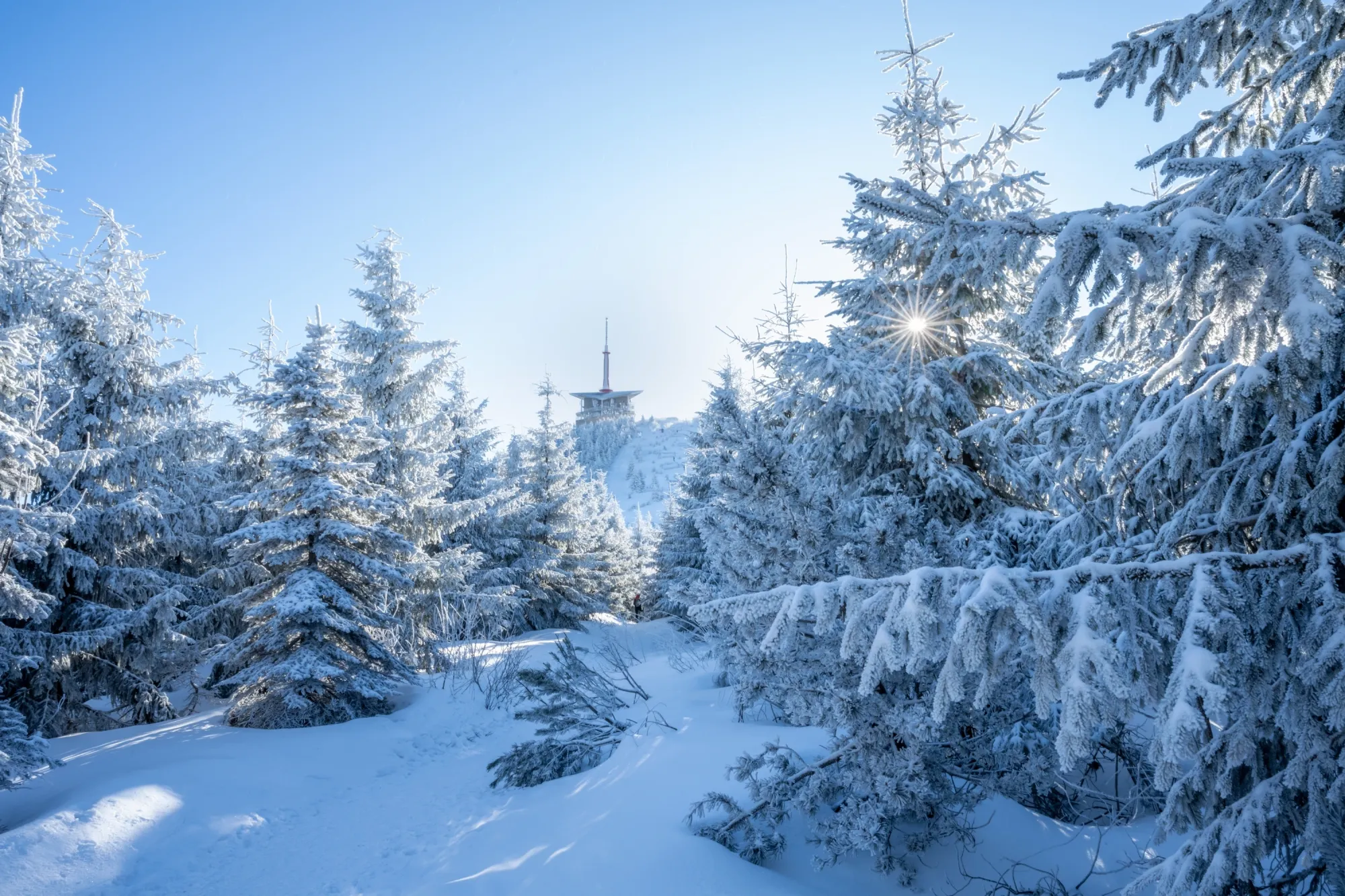 Zima, jakou Česko dlouho nezažilo. Arktický mráz se žene nečekaně brzy, meteorologové znejistěli.