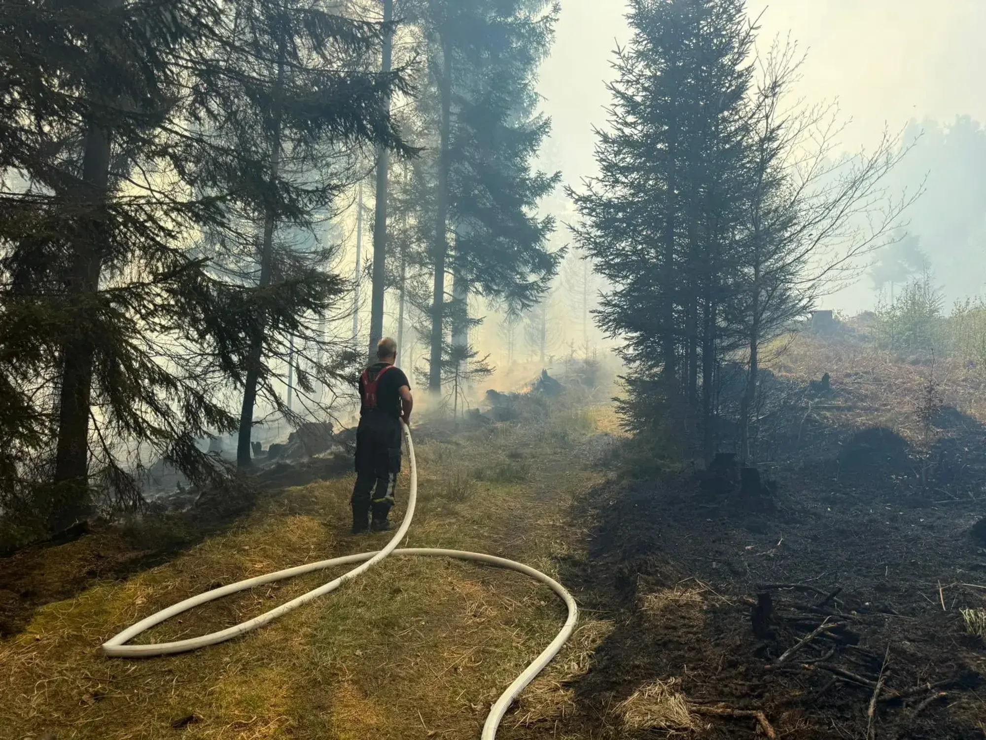 České Švýcarsko znovu zachvátil rozsáhlý požár. Na místo míří 500 hasičů a sedm vrtulníků.