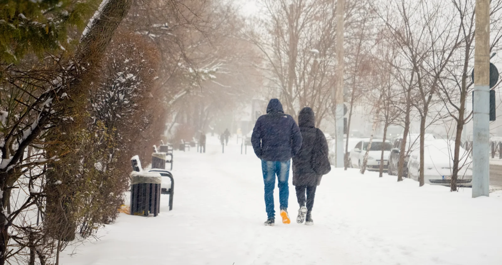 Meteorologové bijí na poplach. Nadcházející dny mají být z nejtvrdších této zimy, čeká nás kalamita