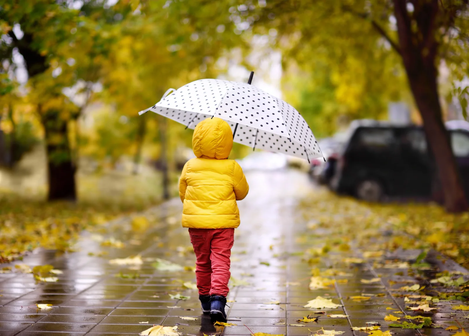 Zlom v počasí je na dosah: Meteorologové varují před změnou, která může zasáhnout celé Česko
