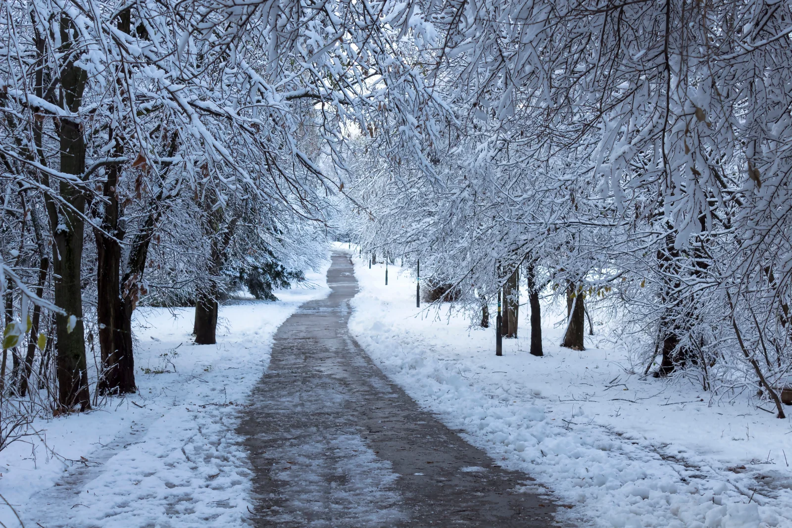Česko zasáhl nejkrutější mráz této zimy. Teploty padají hluboko pod nulu a meteorologové vydali další varování