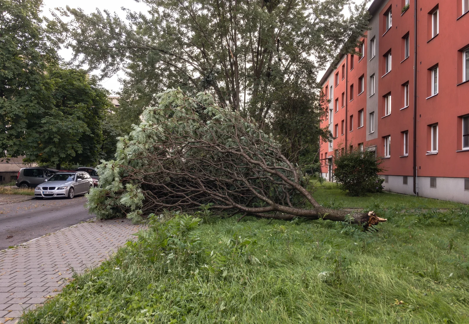 Česko bičuje prudký vítr. Popadané stromy komplikují dopravu, něco takového tu nebylo, říkají odborníci