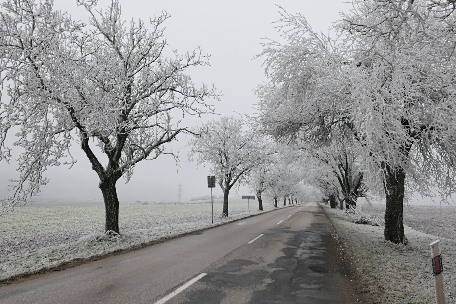 Meteorologové zveřejnili měsíční výhled. Jeden týden vybočí z předpovědi tak, že překvapí celé Česko
