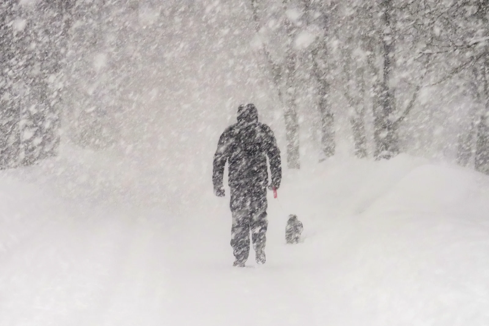 Evropu zasype sníh dřív, než čekáme. Meteorologové varují, že vše vypukne za několik hodin