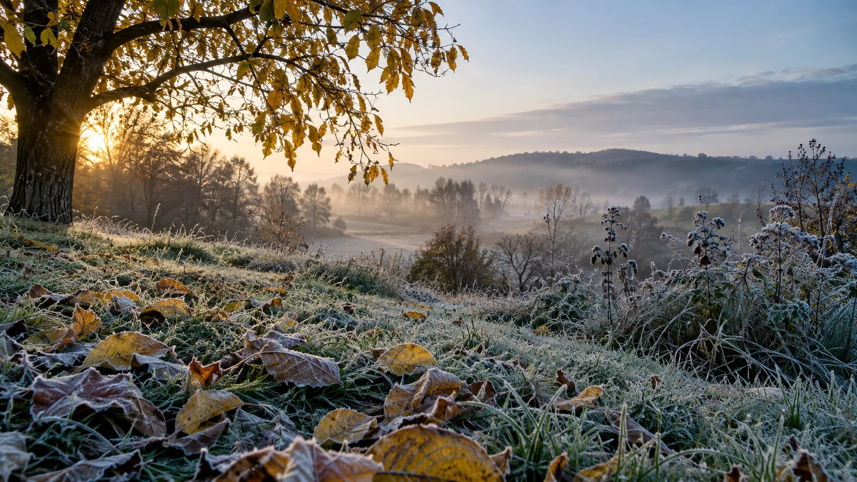 Meteorologové změnili výhled na celý týden. Jeden nepříjemný jev se vrátí hned několikrát