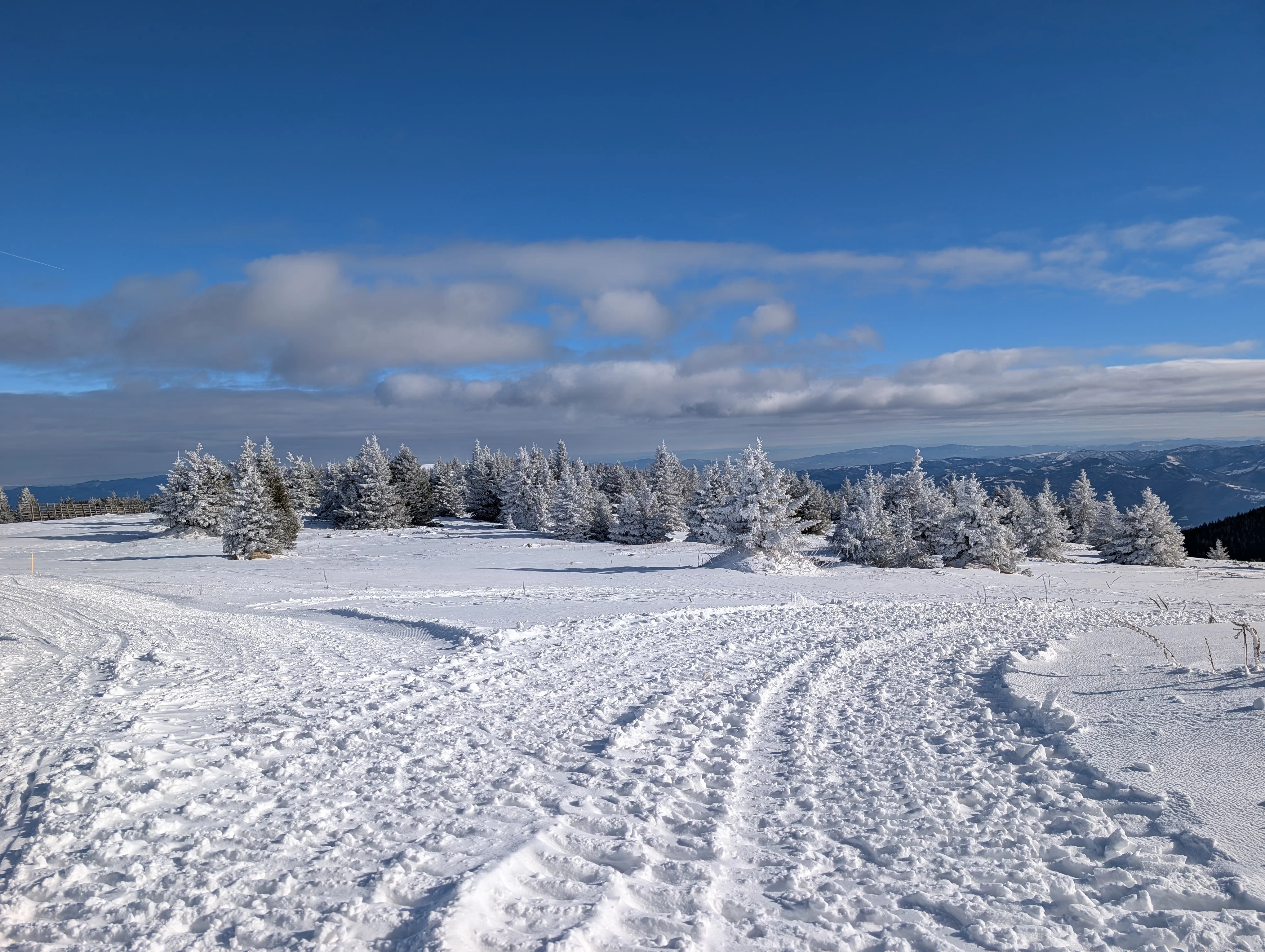 Meteorologové zveřejnili nový výhled na zimu. V Evropě bude zima, jaká tu nebyla více než 100 let