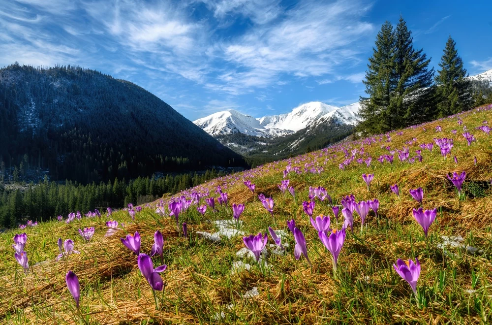 Vysoké Tatry se zahalují do zlatých barev. Podzim nabízí nádherné výlety, které v létě nezažijete